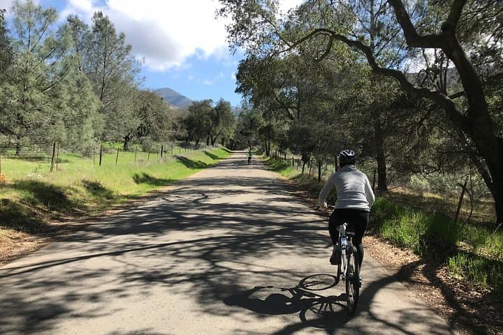 Solvang Wine Country Half-Day Bike Tour — Los Olivos & Ballard Rides photo 1