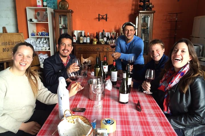 Montevideo Tannat Wine Experience: Half-Day Winery Tour with Tasting & Light Lunch