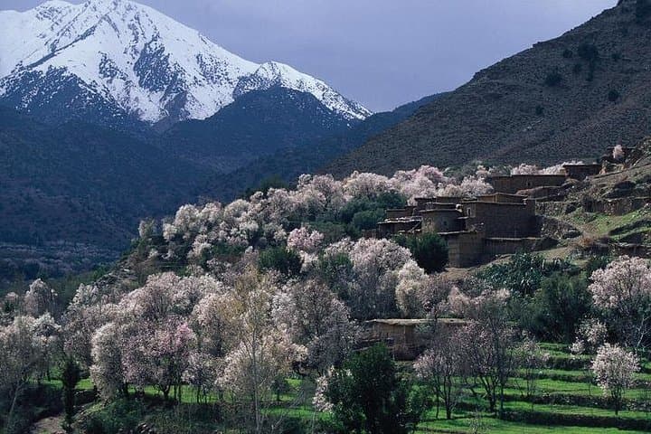 High Atlas Day Trip from Marrakech: Ourika Valley, Takerkoust & Berber Villages
