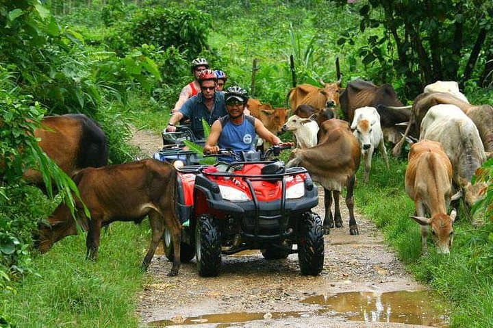 Punta Cana Half-Day ATV Adventure to Water Cave, Farm Tasting & Macao Beach photo 2