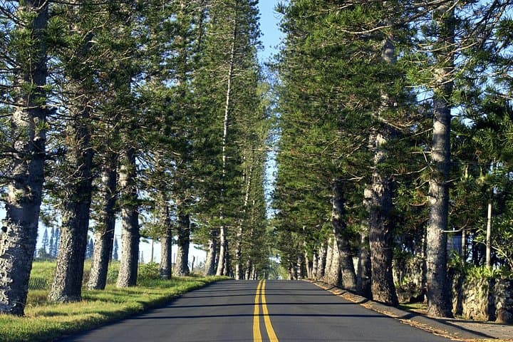 Road to Hana Full-Day Scenic Drive: Black Sand Beaches, Waterfalls & Bamboo Forests photo 2