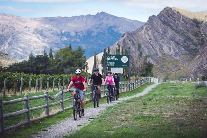 Half-Day Bike the Wineries: Gibbston Valley Wine Trail from Queenstown photo 2