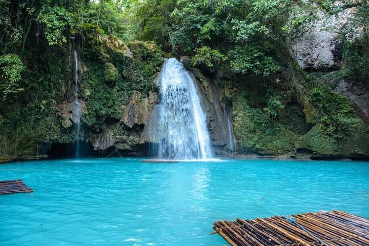 Oslob Whale Shark Swim and Kawasan Falls Day Tour — Swim with Whale Sharks & Canyon Pools
