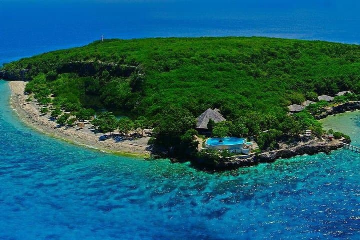 Oslob Whale Shark Swim and Sumilon Island Day Trip from Cebu