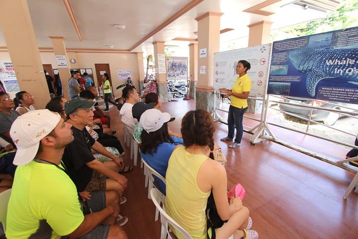 Oslob Whale Shark Swim and Kawasan Falls Day Tour — Swim with Whale Sharks & Canyon Pools photo 4