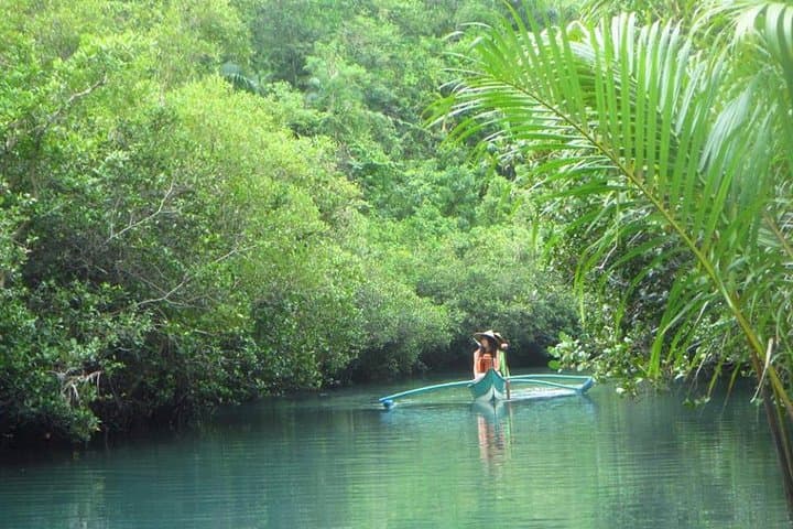 Bojo River Eco-Adventure: Mangrove Cruise, Snorkel & Capilla Santa Museum Day Tour photo 2
