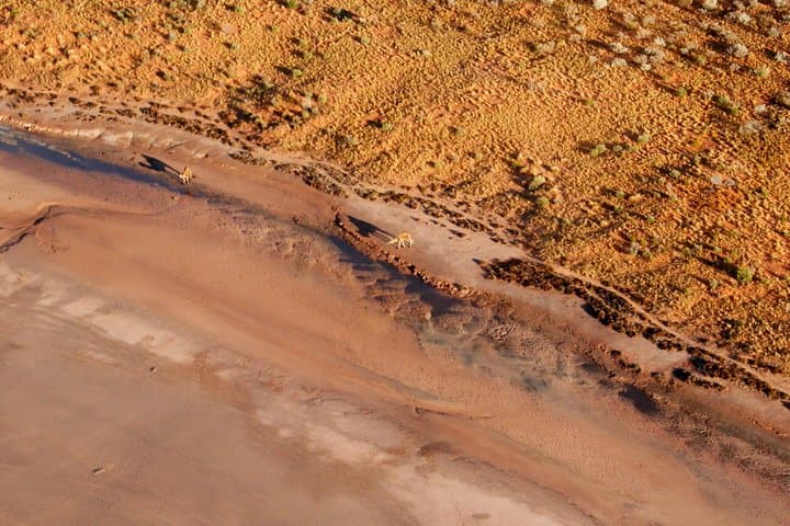 Uluru Scenic Fixed-Wing Flight: Uluru, Kata Tjuta & Lake Amadeus Aerial Tour photo 5