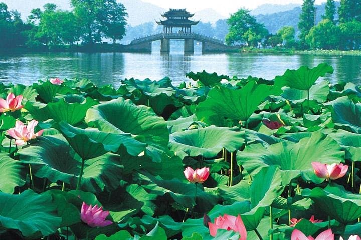 Essential Day Tour of Hangzhou: West Lake, Lingyin Temple & Meijiawu Tea
