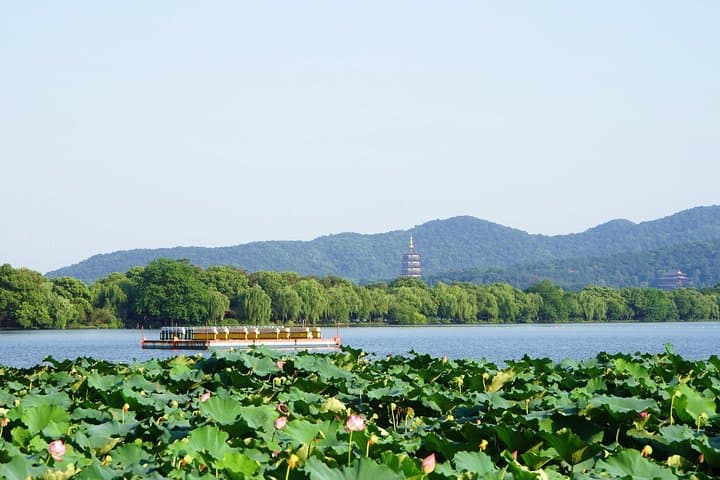 Hangzhou Day Trip from Shanghai: West Lake, Lingyin Temple & Tea Village