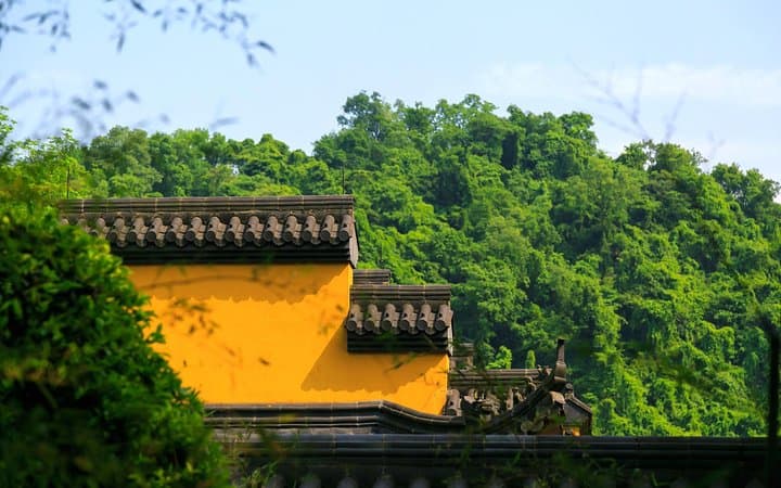 Hangzhou Day Trip from Shanghai: West Lake, Lingyin Temple & Tea Village photo 2