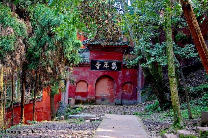 2-Day Chengdu Panda Base, Leshan Giant Buddha & Mount Emei Tour