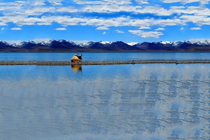 Explore Lhasa and Namtso Lake: 5-Night High-Altitude Tibet Tour with Permit