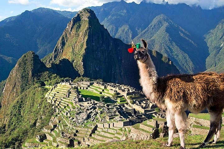 Vistadome Panoramic Train to Machu Picchu: Full-Day Tour from Cusco photo 2