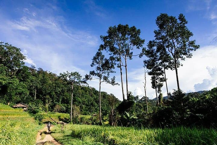 Rural Explorer Mountain Biking Tour Chiang Mai: Back-Roads, Villages & Waterfalls photo 1
