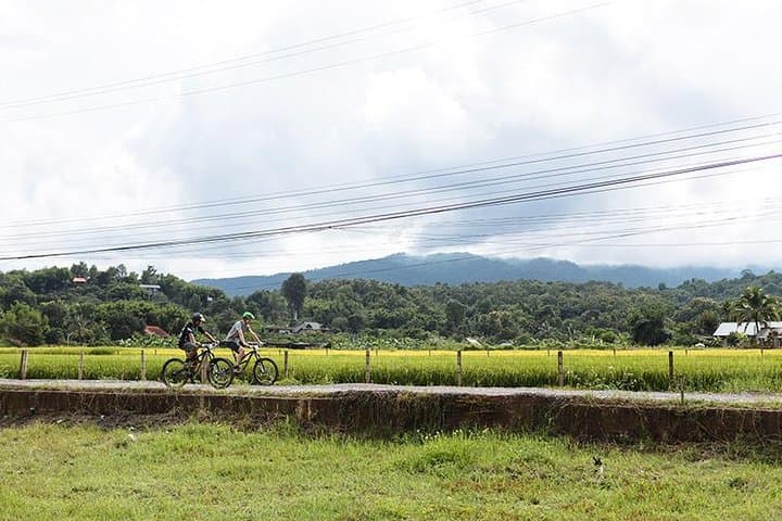 Fields of Gold: Chiang Mai Mountain Biking Through Lanna Rice Country photo 3