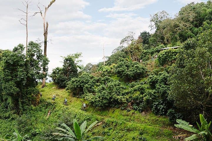 Smoke on the Water Trail: 16.5 km Chiang Mai Mountain Biking Adventure photo 2
