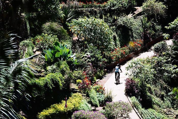 Thriller Trail Mountain Biking Tour from Chiang Mai — Doi Pa Klong Singletrack Adventure photo 5
