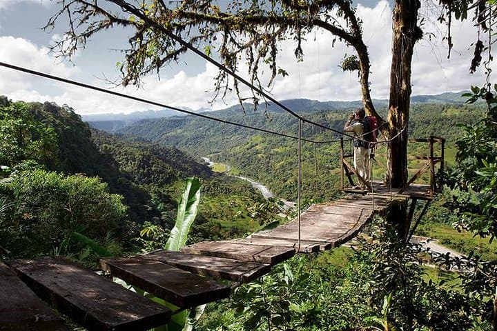 Mindo Cloud Forest Day Trip from Quito: Birds, Waterfalls & Zipline Thrills