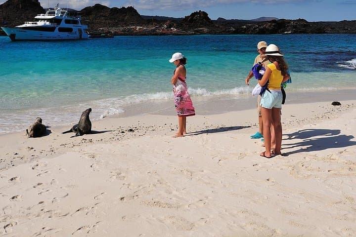 Galapagos 4-Day Land Tour: San Cristobal & Santa Cruz Highlights photo 1