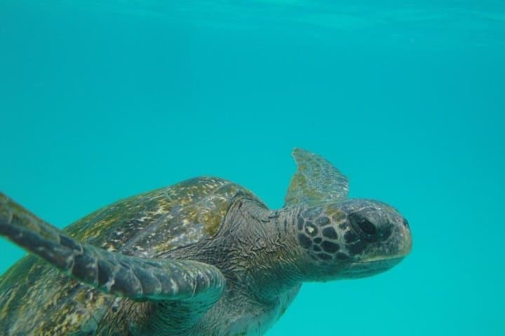 4-Day San Cristóbal Galápagos Land Tour — Kicker Rock, Highlands & Snorkel photo 2