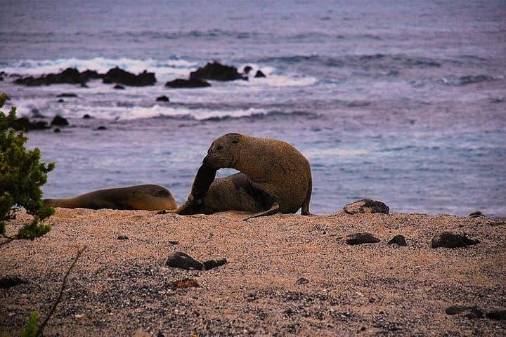 8-Day Galapagos Multi-Sport Adventure: San Cristobal, Santa Cruz & Isabela photo 2
