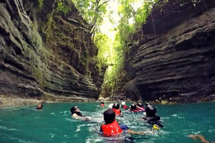 Cebu Whale Sharks, Moalboal Sardines & Kawasan Canyoneering Day Tour