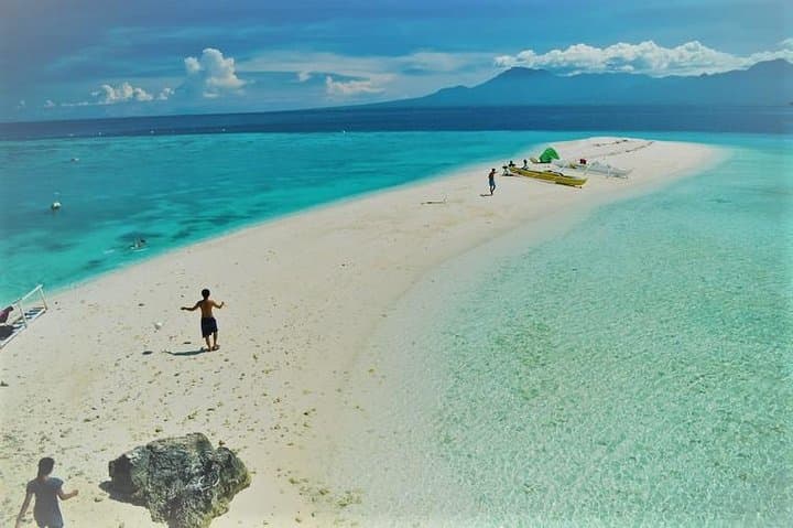 Swim with Whale Sharks & Sumilon Island Day Trip from Cebu