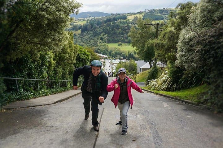 Dunedin Half-Day Highlights: Baldwin Street, Olveston & Signal Hill Views