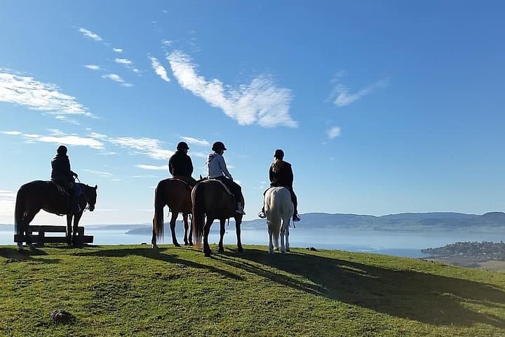 Guided Horse Trekking on Mount Ngongotaha — Rotorua Countryside Ride photo 1