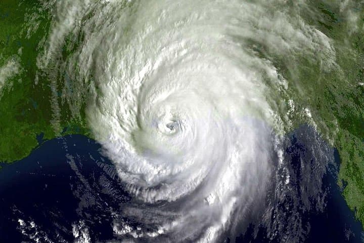 Hurricane Katrina Driving Tour: New Orleans Past, Present and Future photo 2