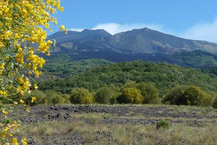 Etna Morning Tour from Syracuse: Craters, Lava Caves & Sicilian Tastings photo 3