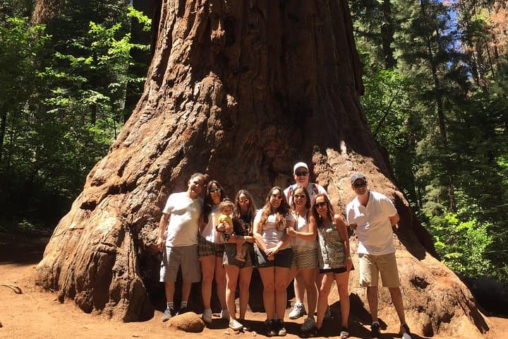 Dirt, Creek Crossings, and Cathedral Trees