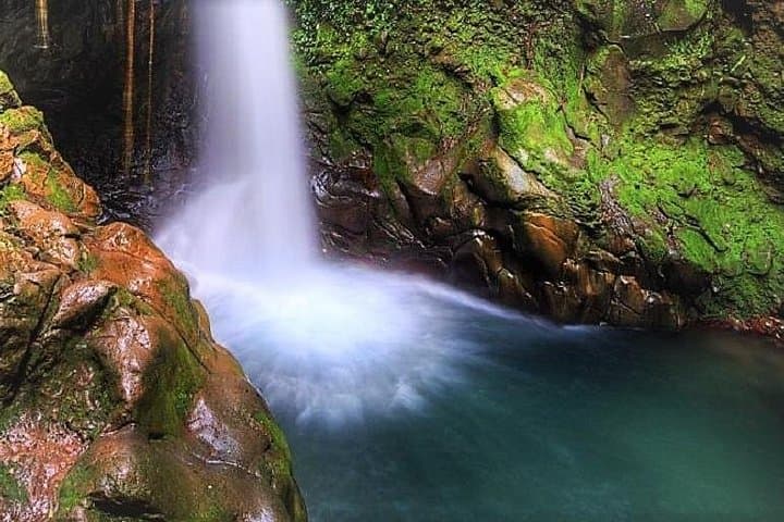 Waterfall Discovery in Costa Rica: Jungle Hike, Swim & Coffee Tasting from Tamarindo photo 2