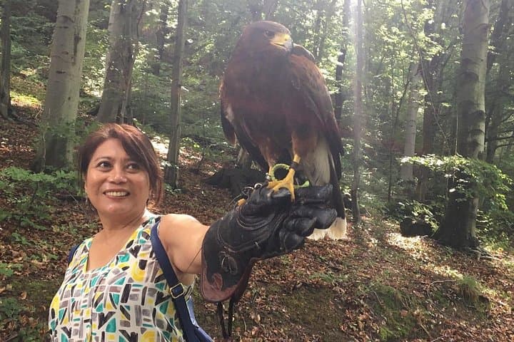 Medvednica Falconry Tour: Medieval Castles & Birds of Prey Near Zagreb