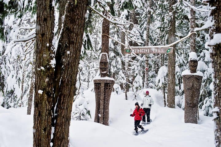 Medicine Trail Snowshoe Tour — Guided Snowshoeing & Medicinal Tea in Callaghan Valley photo 3