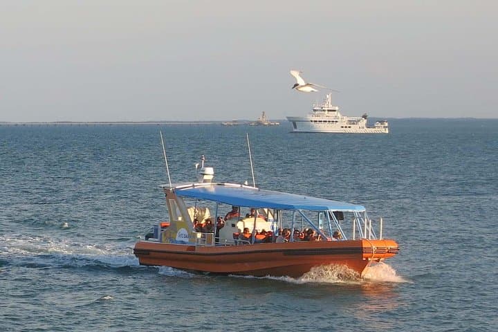 Discover Darwin Harbour: 1-Hour Eco Cruise with Tiwi Storytelling