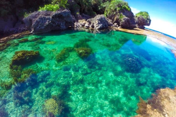 Sugba Lagoon and Magpupungko: Siargao's Blue Pools and Ledge Jumps photo 6