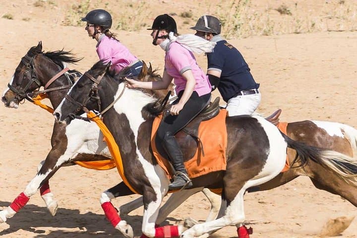 Jaipur Marwari Horse Safari — Village Ride Through the Aravallis photo 2