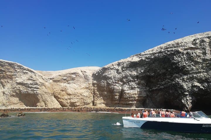 Ballestas Islands, Nazca Lines & Winery: Lima Express Day Tour