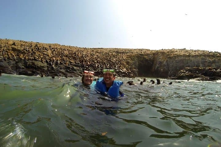 Palomino Islands Sea Lion Swim from Lima — Speedboat Excursion & Wildlife Viewing photo 4