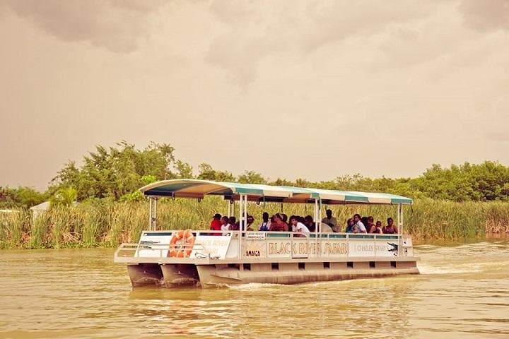Black River Safari from Montego Bay — Private Crocodile & Mangrove Birdwatching Boat Tour photo 4
