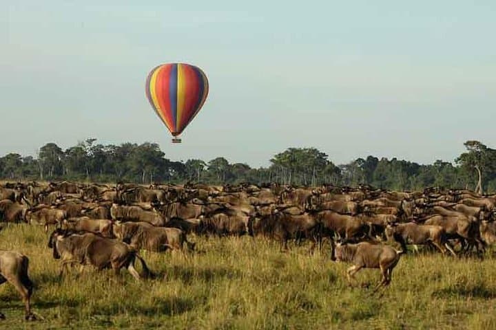 3-Day Masai Mara Joining Safari from Nairobi: Classic Big-Game & Migration Experience photo 4