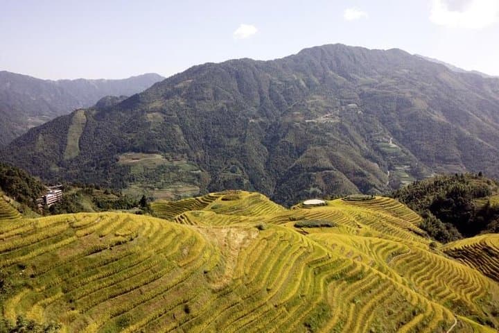 Exploring Dragon's Backbone Rice Terraces: Private Day Tour from Guilin photo 2