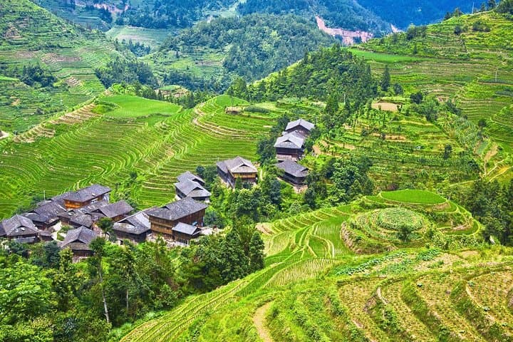Exploring Dragon's Backbone Rice Terraces: Private Day Tour from Guilin