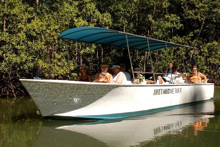 Damas Mangrove Boat Tour — Isla Damas Wildlife Cruise from Quepos photo 1