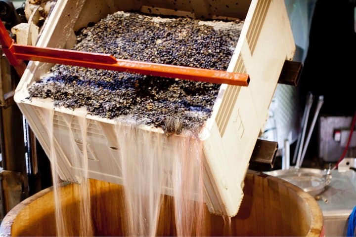 Private Wine Tour from Eugene — Full-Day Tastings in Oregon Wine Country photo 2