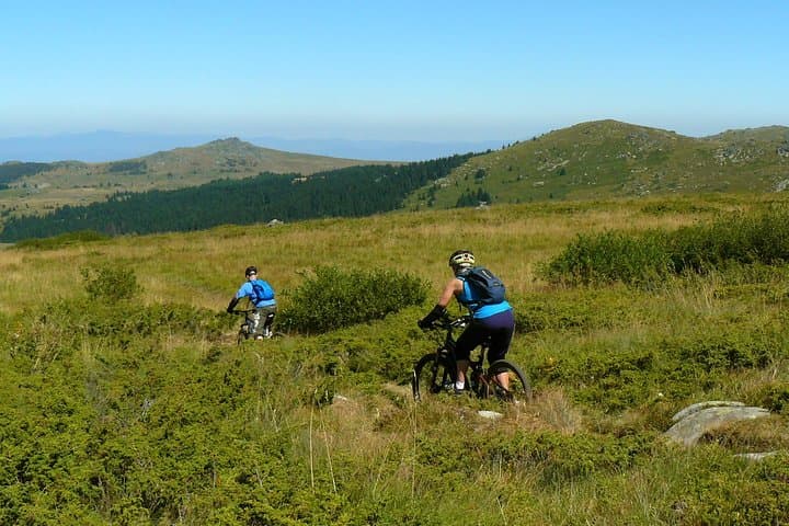 Vitosha Trail Hunter: Mountain Bike Day Tour from Sofia
