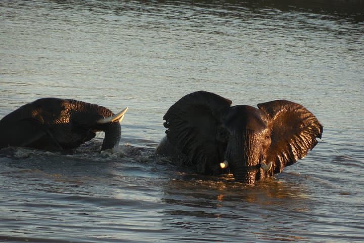 Blyde River Canyon to Kruger: 48-Hour Safari and Panorama Tour photo 2