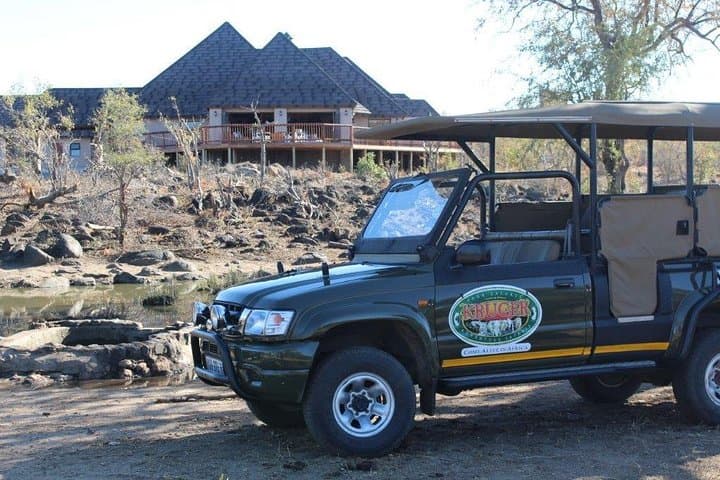 Full-Day Big 5 Safari from Hazyview — Kruger Big Five Game Drive Guide photo 2