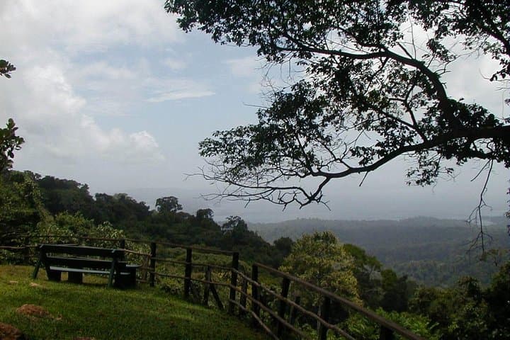 Brownsberg Full-Day Jungle Hike to Waterfalls — Suriname Rainforest Adventure